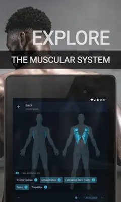 Home Workout - Daily Workout android App screenshot 13